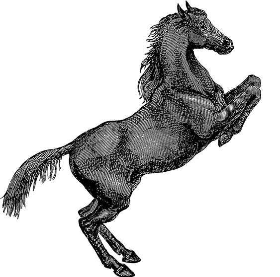 欧博官网