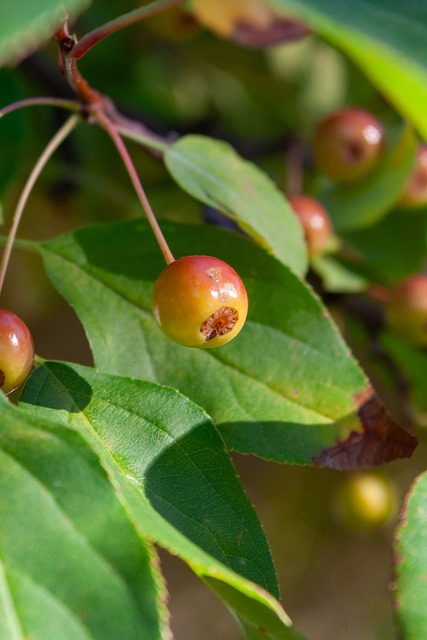 及时获得相 及时获得相