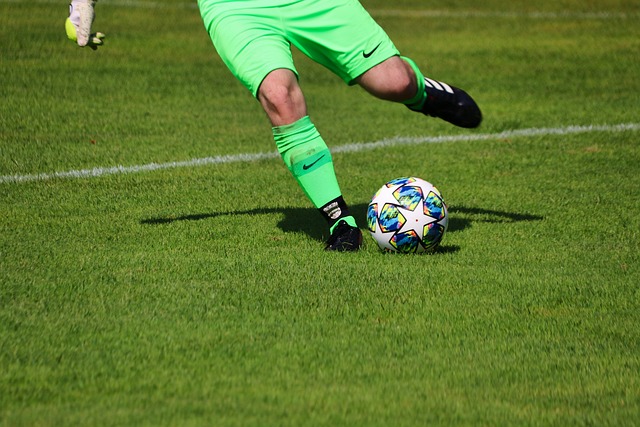 这些都对他 这些都对他