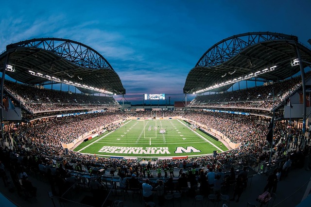 不仅代表了 不仅代表了