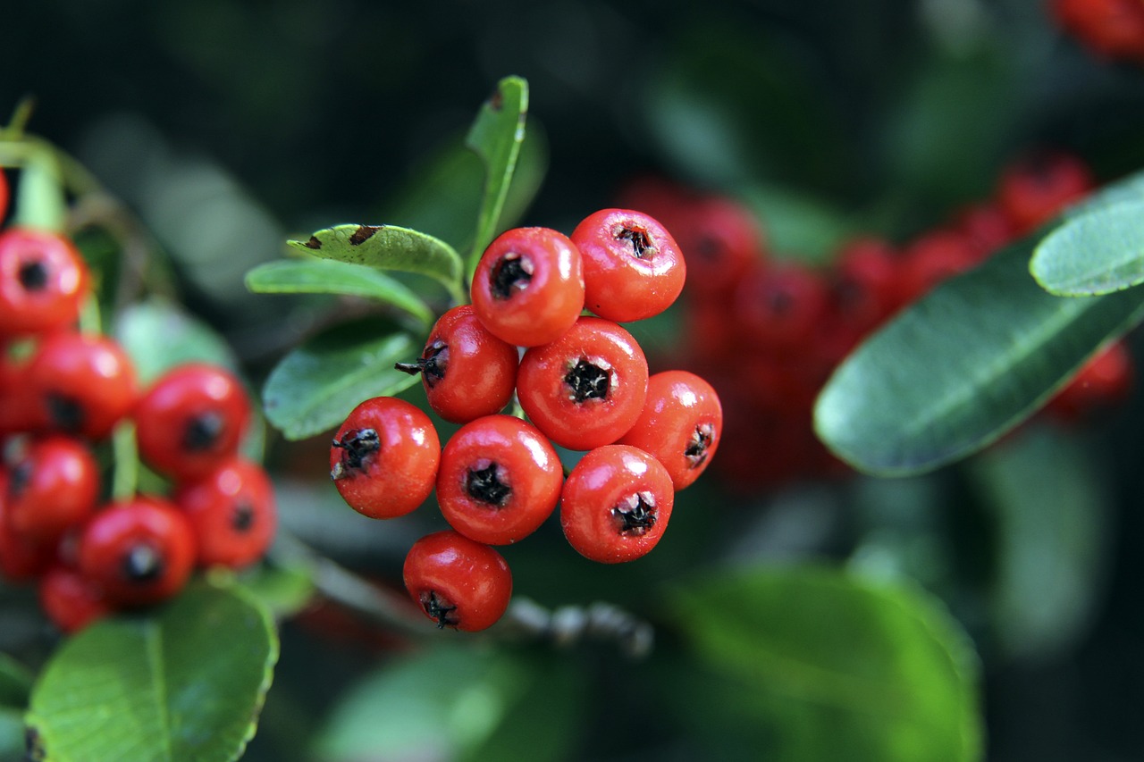 育与行业规 育与行业规