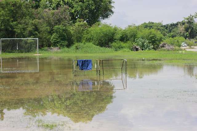 赛增添了更 赛增添了更