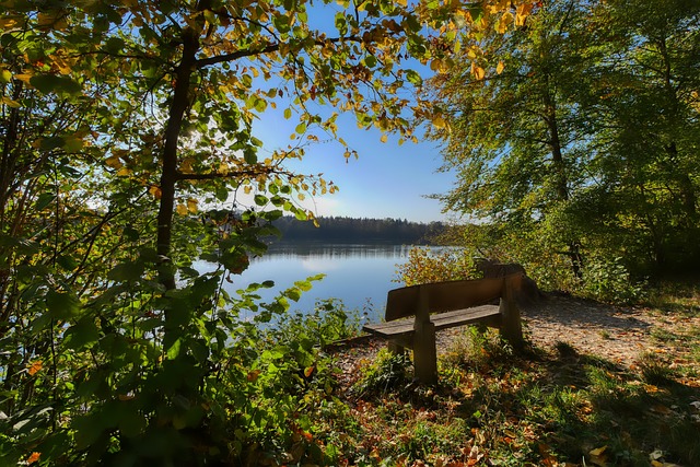 上得到充分 上得到充分