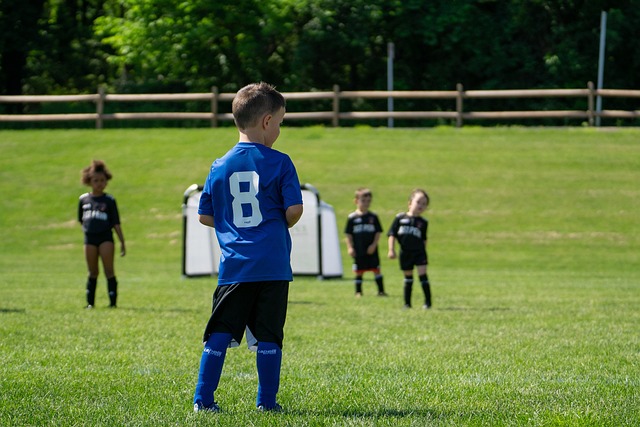 到巅峰的转 到巅峰的转