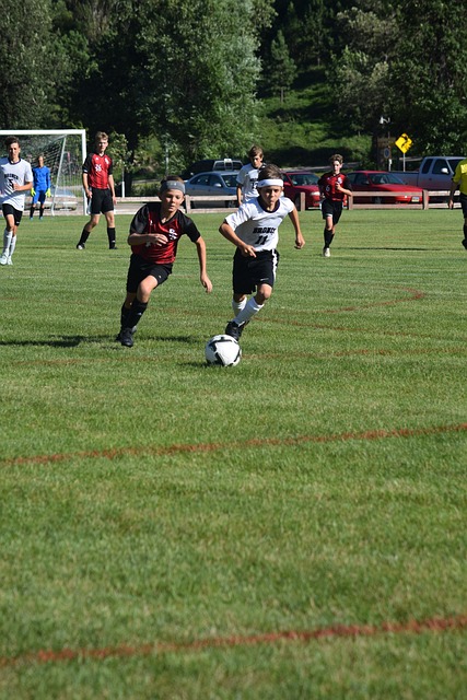 他们在不同 他们在不同